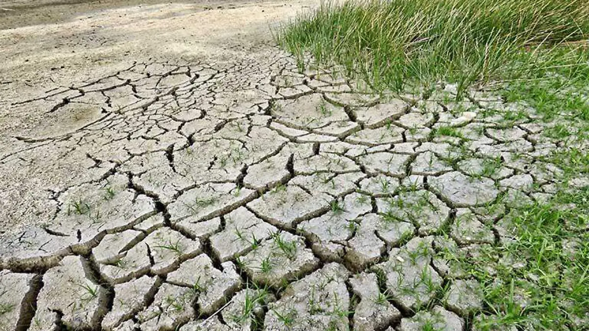 cambio climático